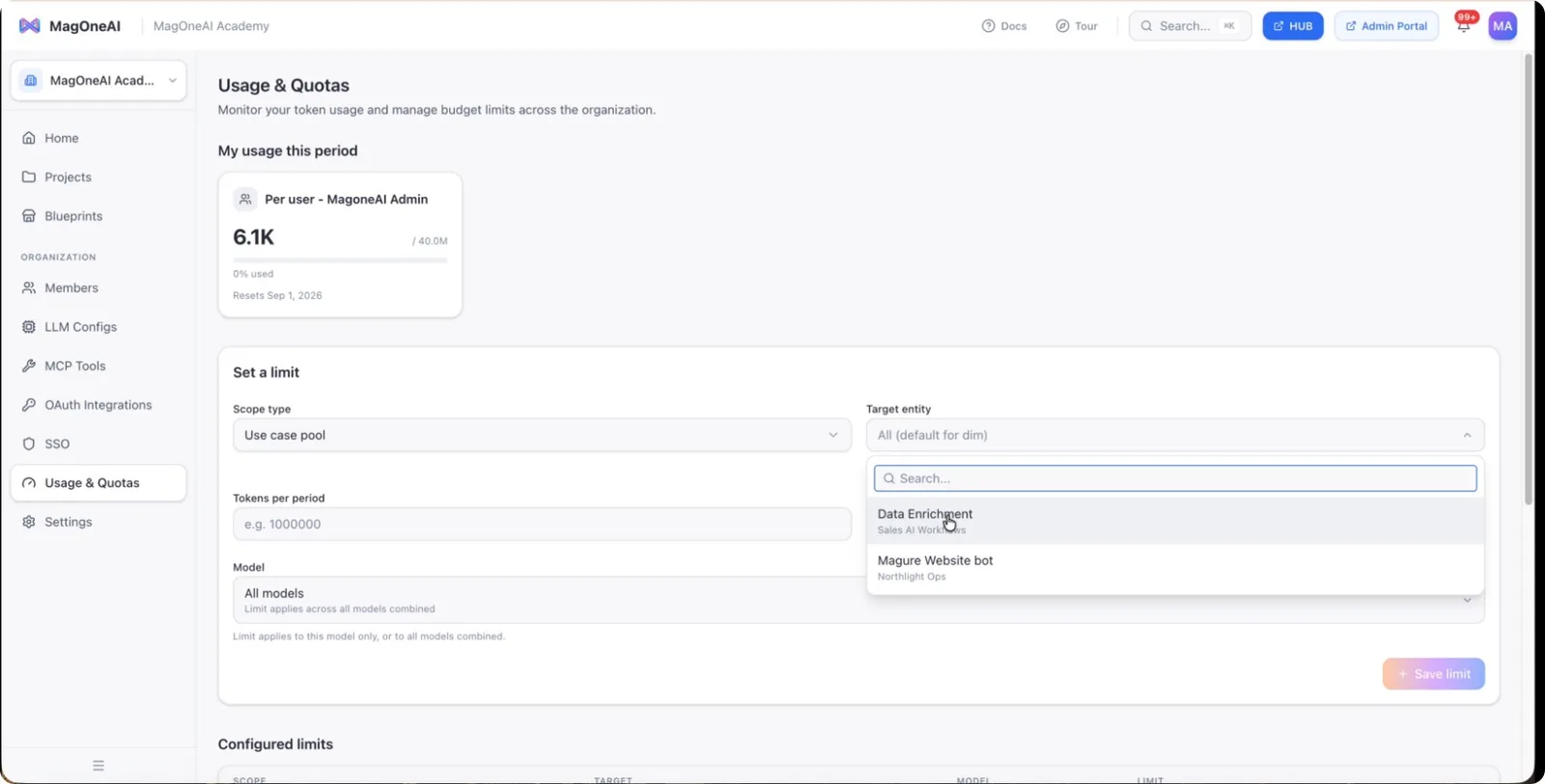 An organization-level limit applied across all projects and users